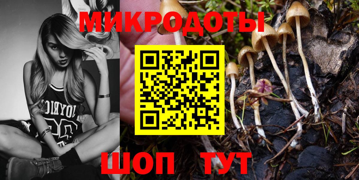 Галлюциногенные грибы Psilocybe Рославль